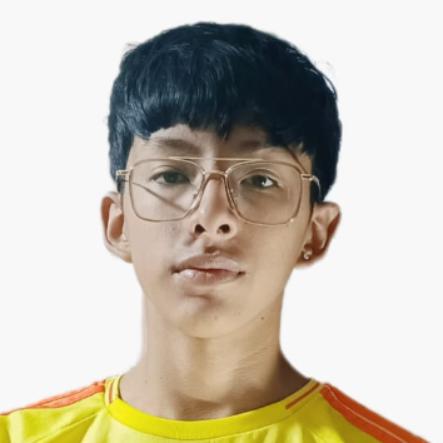 User Image
